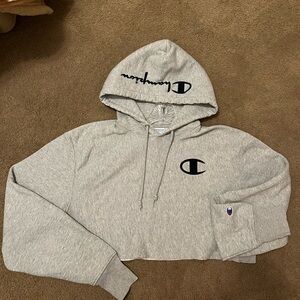 Cropped champion hoodie